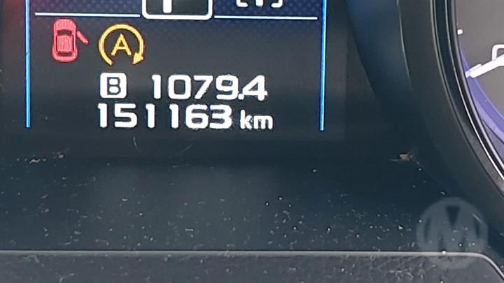Lazy Owl Image