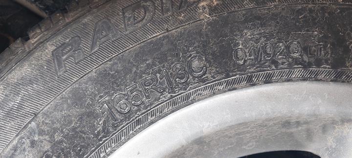 Lazy Owl Image
