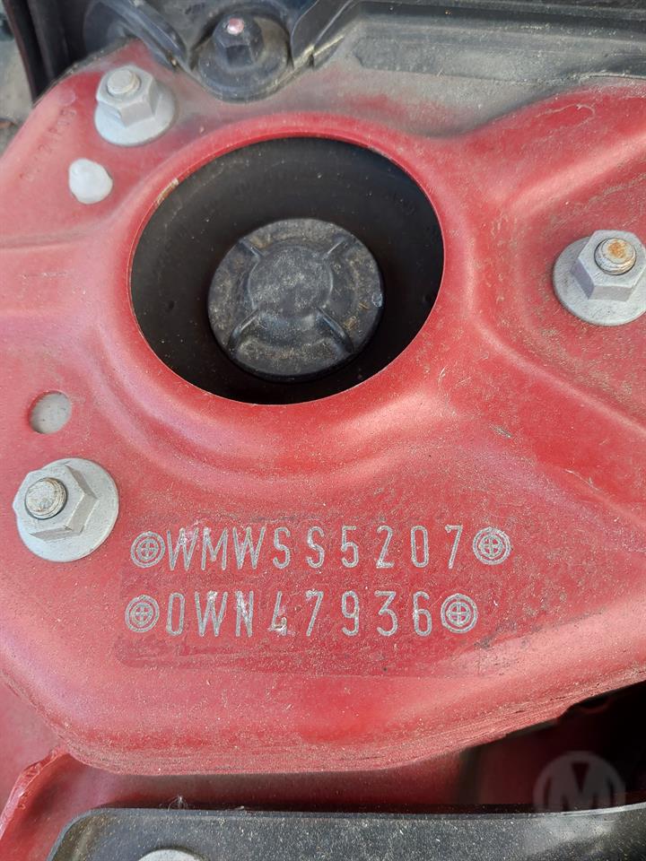 Lazy Owl Image