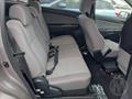 Lazy Owl Image