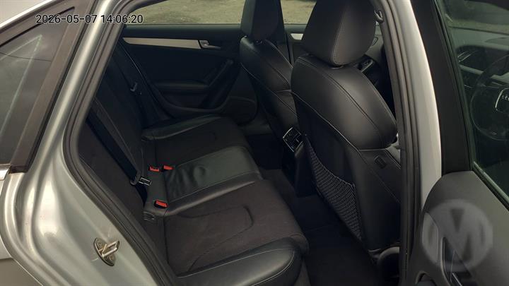 Lazy Owl Image