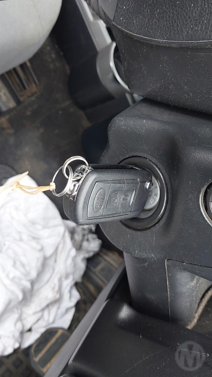 Lazy Owl Image