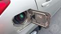 Lazy Owl Image