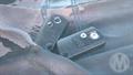 Lazy Owl Image