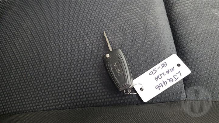 Lazy Owl Image