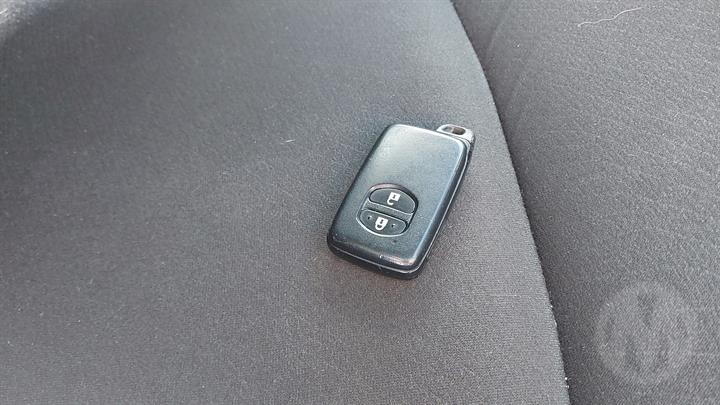 Lazy Owl Image