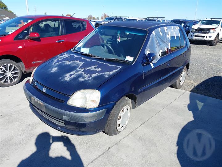 Lazy Owl Image