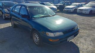 1995 Toyota Corolla 1.6P GL HBACK5 4A Hatch Photo