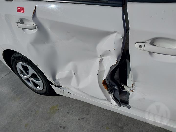 Lazy Owl Image