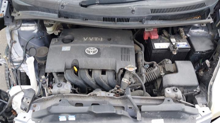 Lazy Owl Image