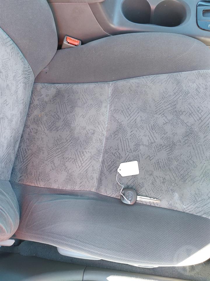 Lazy Owl Image