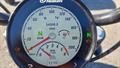 Lazy Owl Image