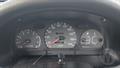 Lazy Owl Image