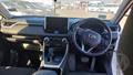 Lazy Owl Image