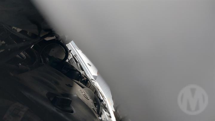 Lazy Owl Image