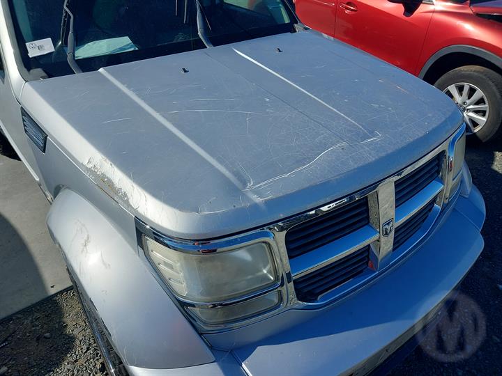 Lazy Owl Image