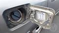 Lazy Owl Image