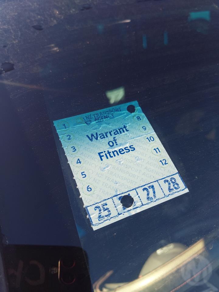 Lazy Owl Image