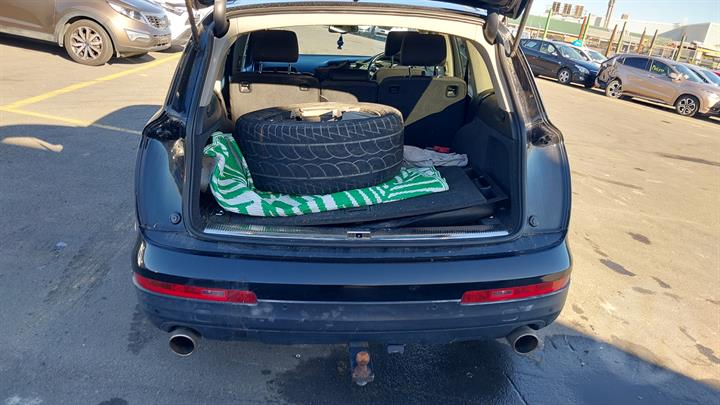 Lazy Owl Image
