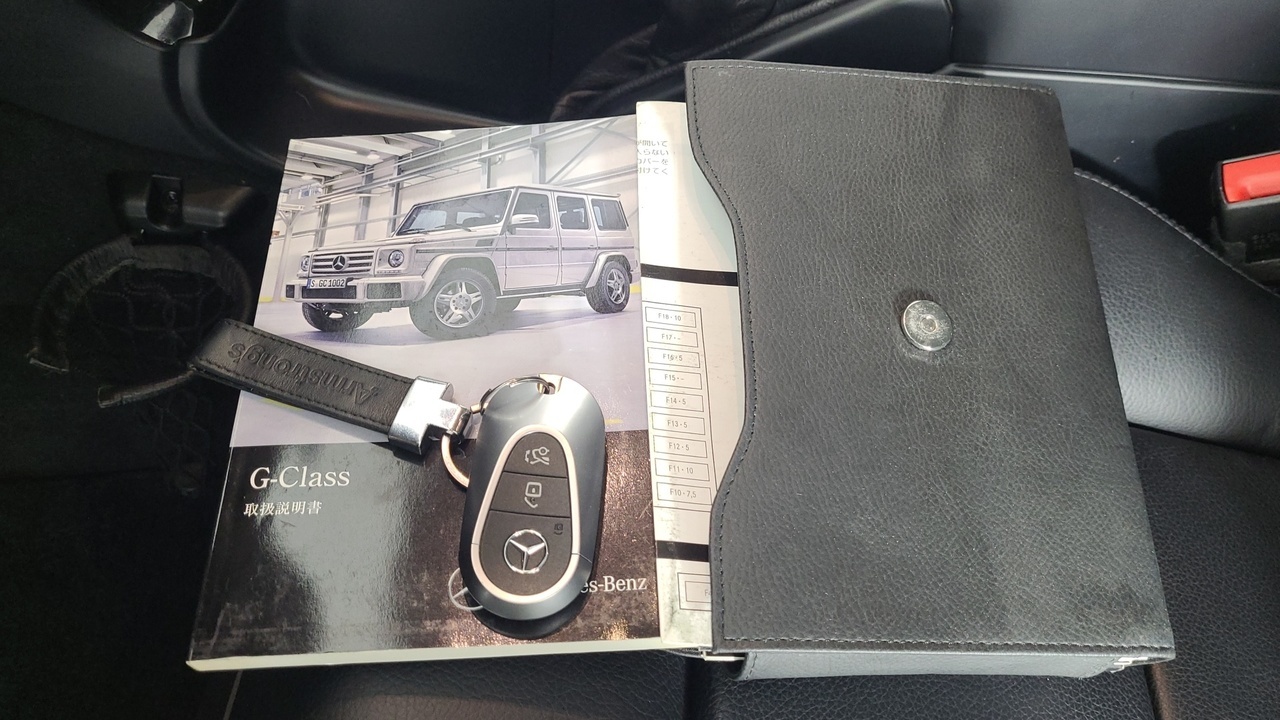 Lazy Owl Image