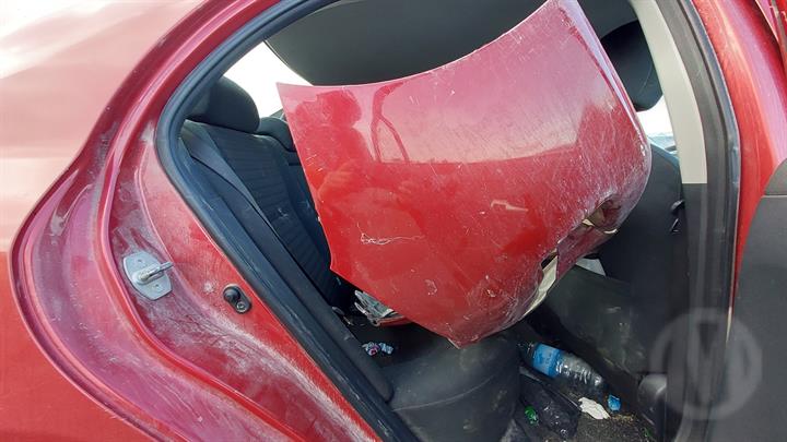 Lazy Owl Image