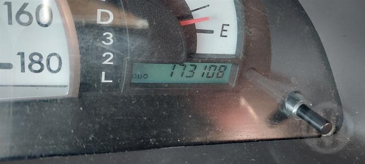 Lazy Owl Image