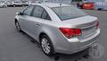 Lazy Owl Image