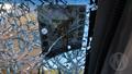 Lazy Owl Image