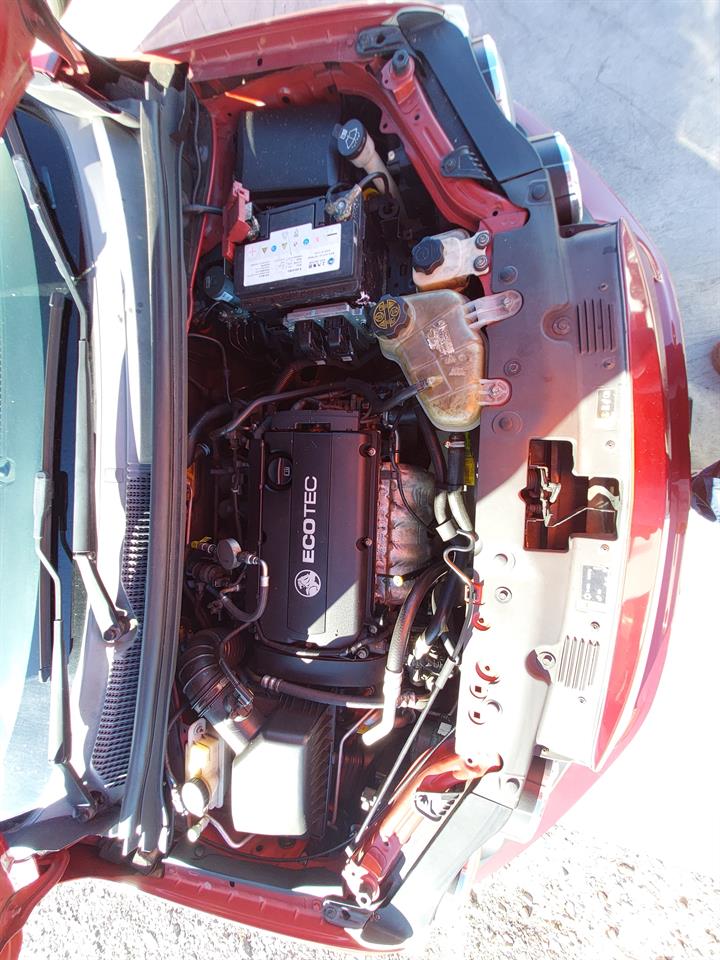 Lazy Owl Image