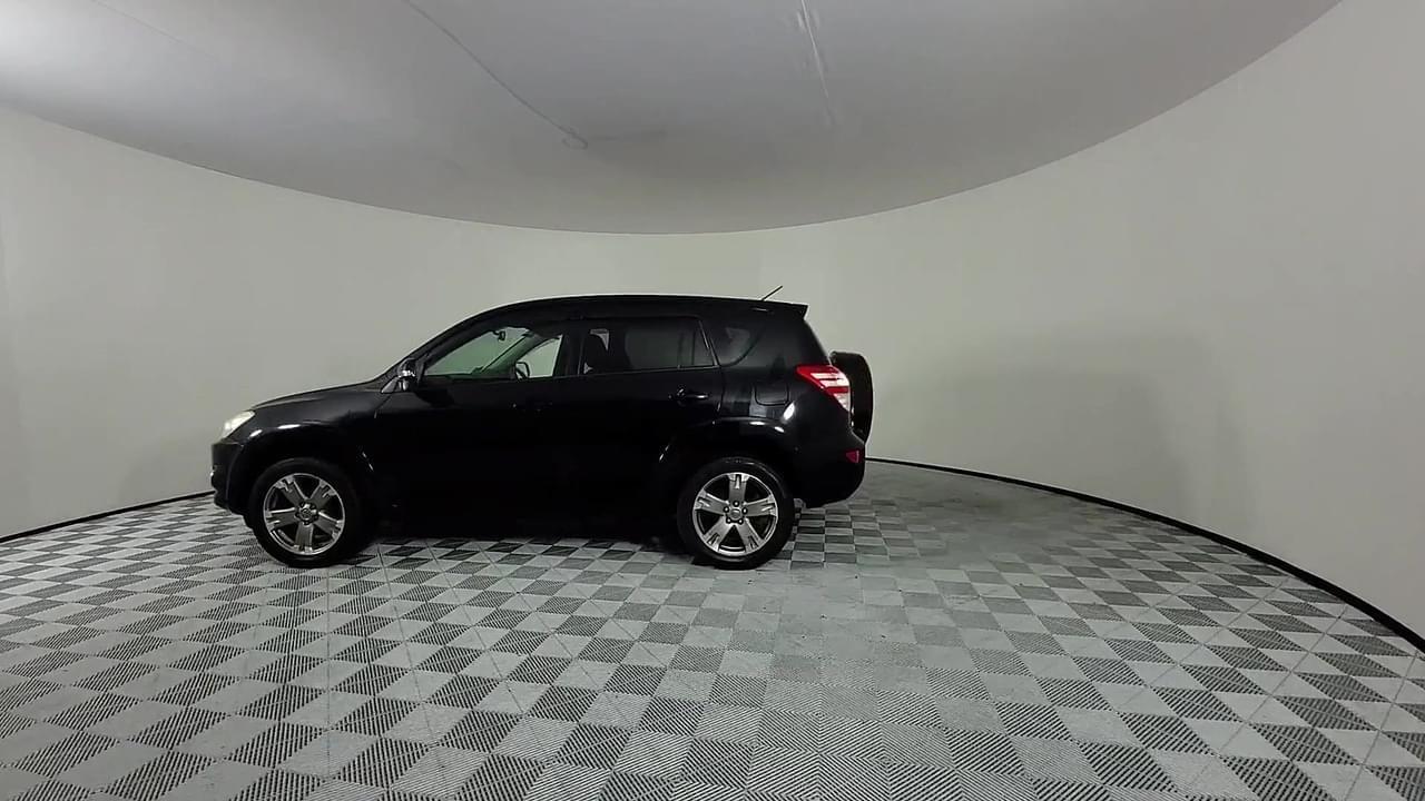 Lazy Owl Image