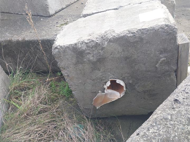 Lazy Owl Image