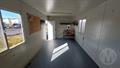 Lazy Owl Image