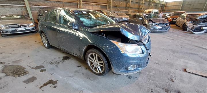 Lazy Owl Image