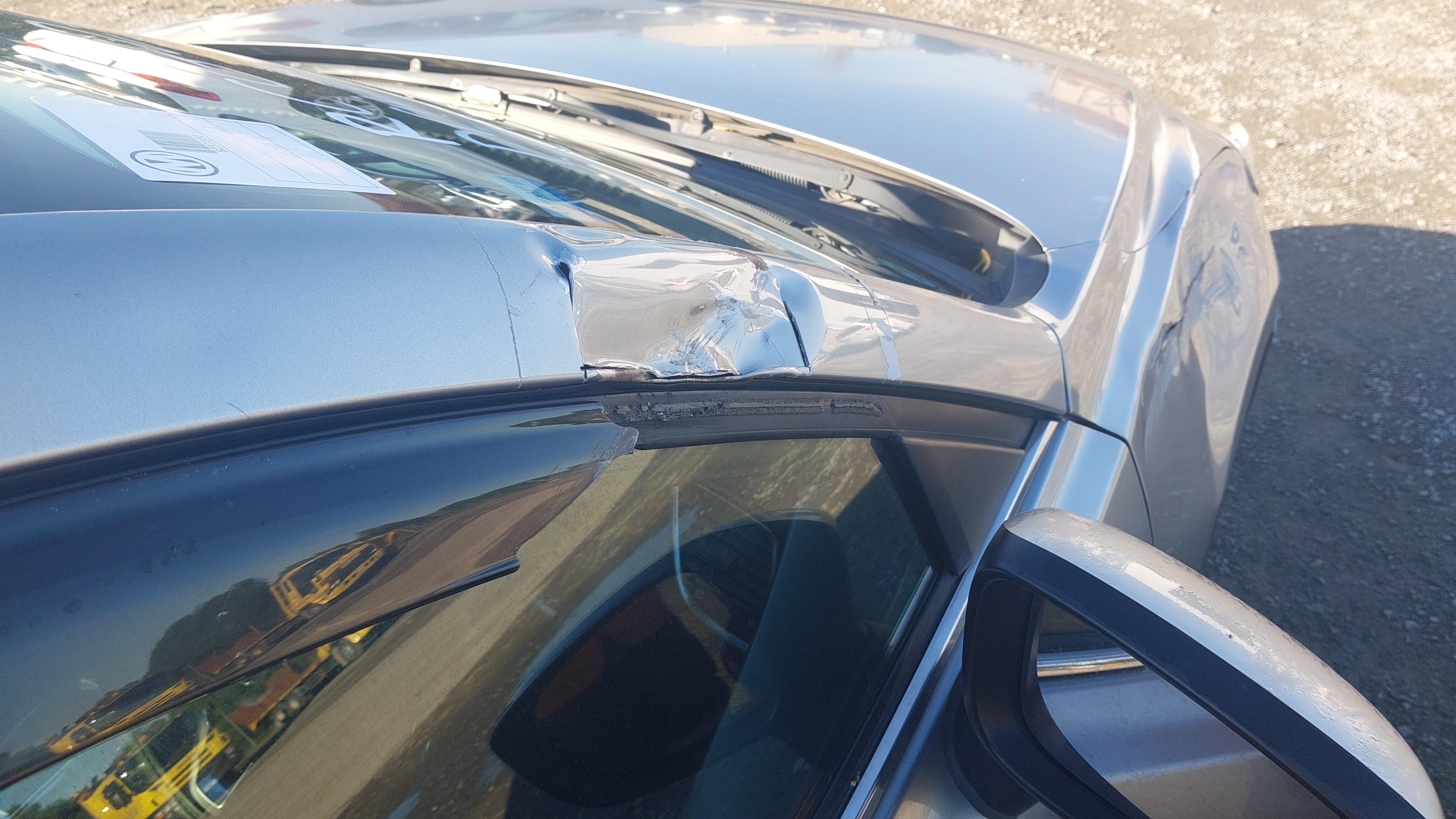Lazy Owl Image