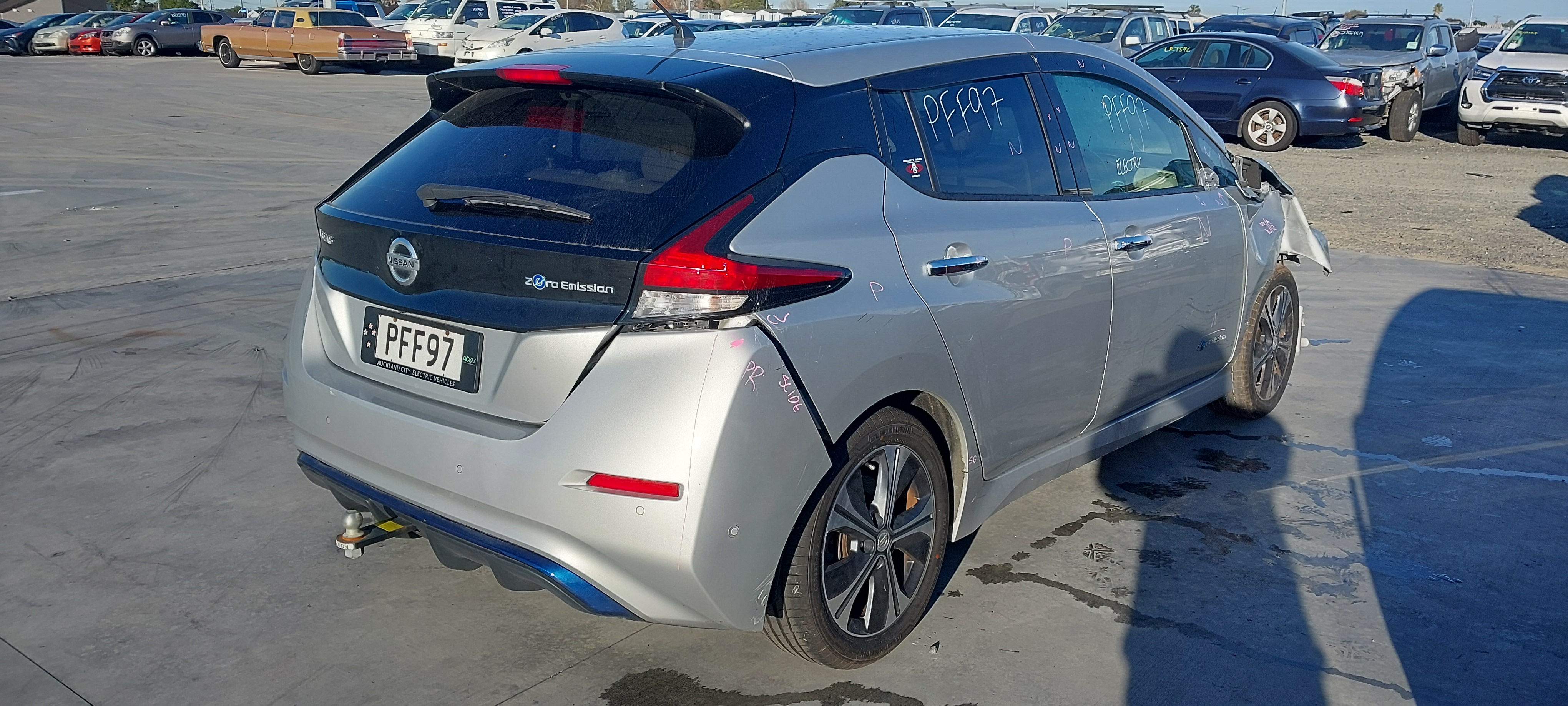 Lazy Owl Image