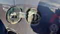 Lazy Owl Image