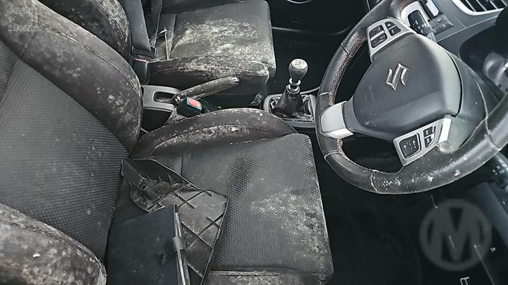 Lazy Owl Image