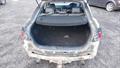 Lazy Owl Image