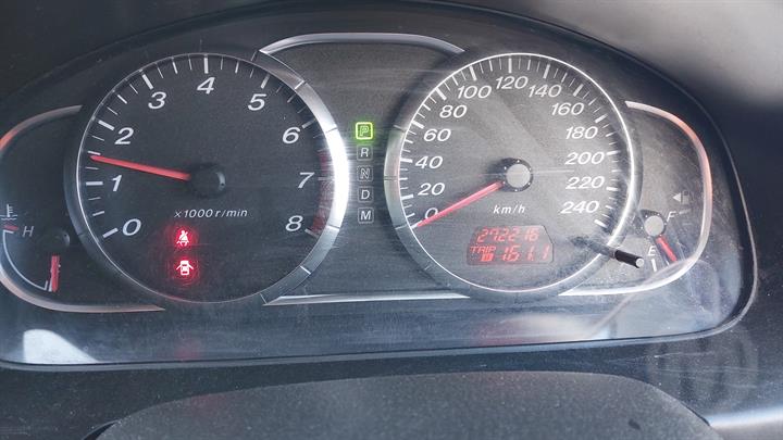 Lazy Owl Image