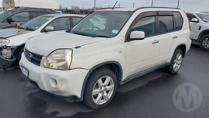 Lazy Owl Image