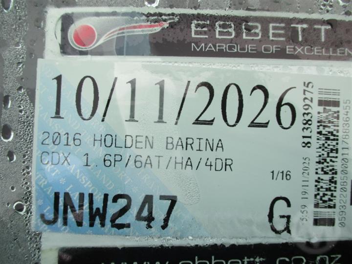 Lazy Owl Image