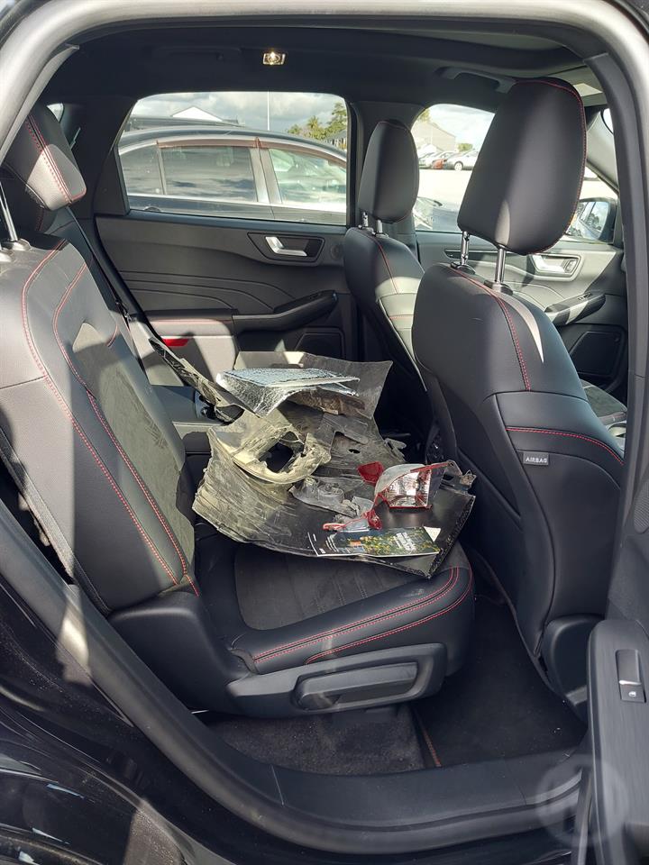 Lazy Owl Image