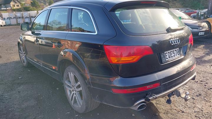 Lazy Owl Image