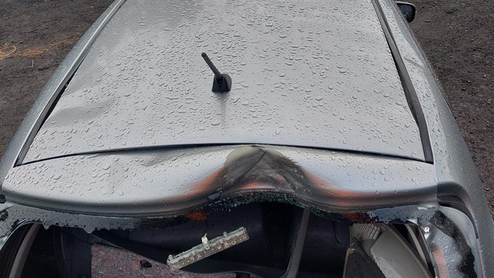 Lazy Owl Image