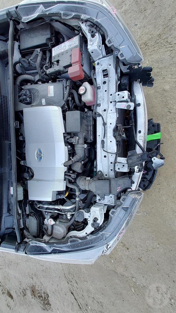 Lazy Owl Image