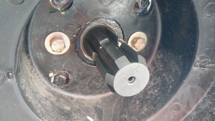 Lazy Owl Image