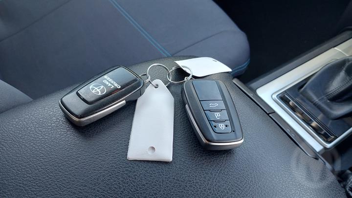 Lazy Owl Image