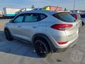 Lazy Owl Image