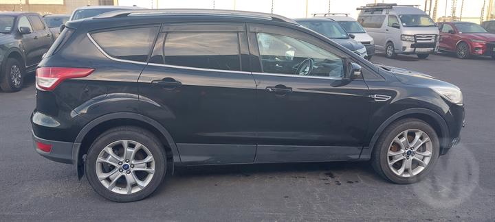 Lazy Owl Image