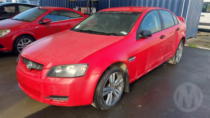 Lazy Owl Image